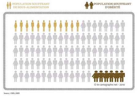 Illustration : Sous-alimentation et obésité dans le monde (2009)