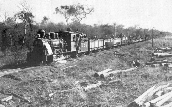 Image : Troupes Paraguayennes mobilisées de Casado pour le front