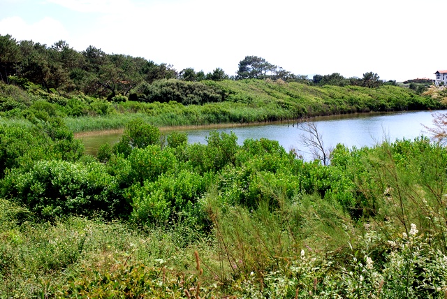 Photo : vue de l'entre-deux-lacs