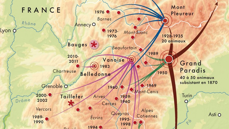 Des cartes pour l'édition