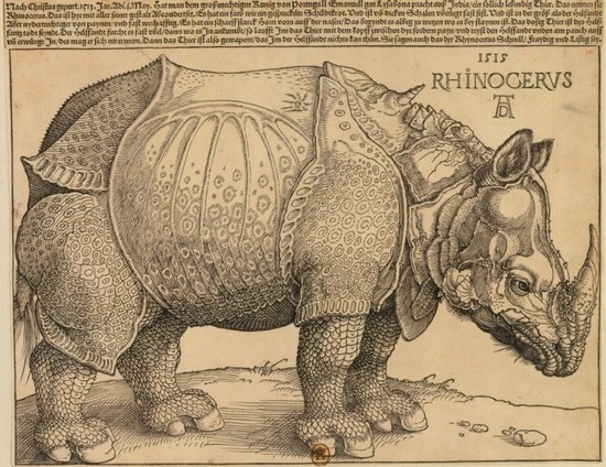 Iconographie : Albrecht Durer, Rhinocéros, planche gravée BnF, département des Estampes et de la photographie, vers 1517