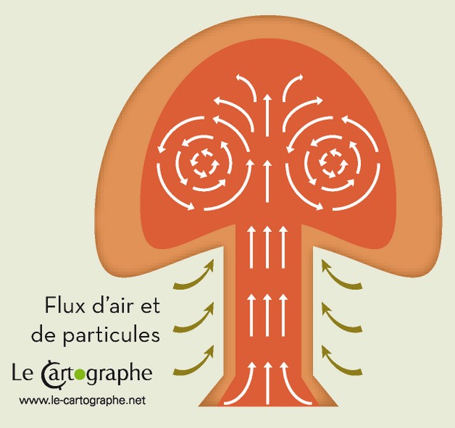 Illustration : La formation du champignon atomique