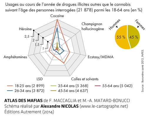 Schéma : Les consommateurs de stupéfiants en France