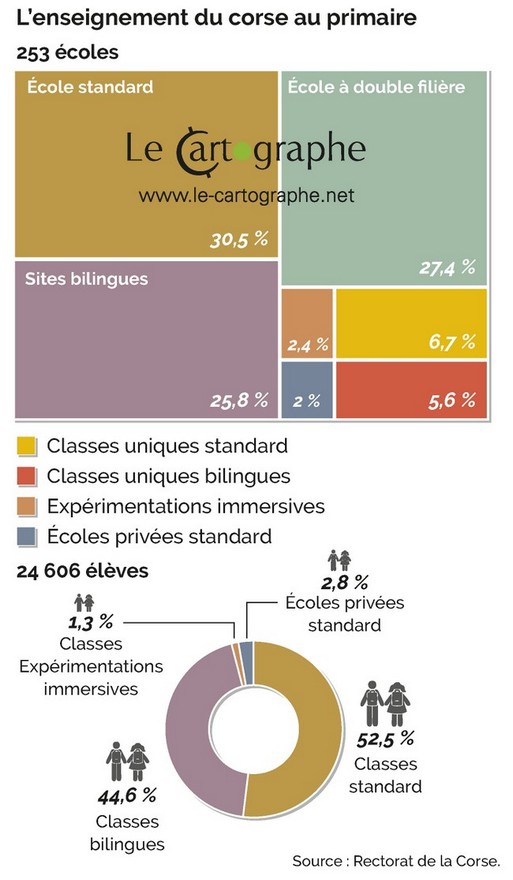 Infographie : L'enseignement du corse au primaire