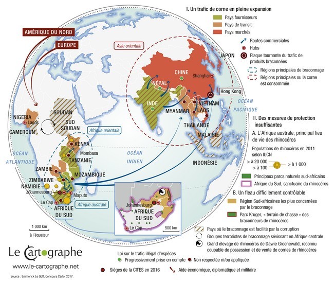 Carte : Le trafic de corne de rhinocéros