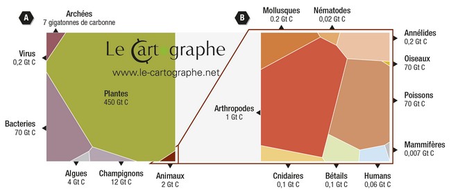 Infographie : Diagramme de Voronoï de la masse totale (gauche) et des animaux (droite), par taxon