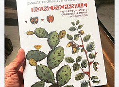 Rouge Cochenille