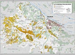 Le vignoble saumurois