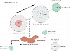 Chine - Politique d'expansion agricole à l'étranger