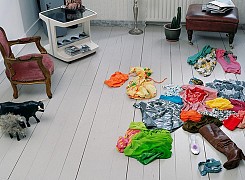 Les cartes de Corriette Schoenaerts