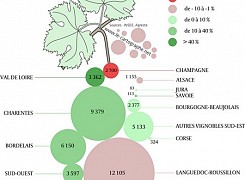 France - Estimation de récolte par vignoble en 2009